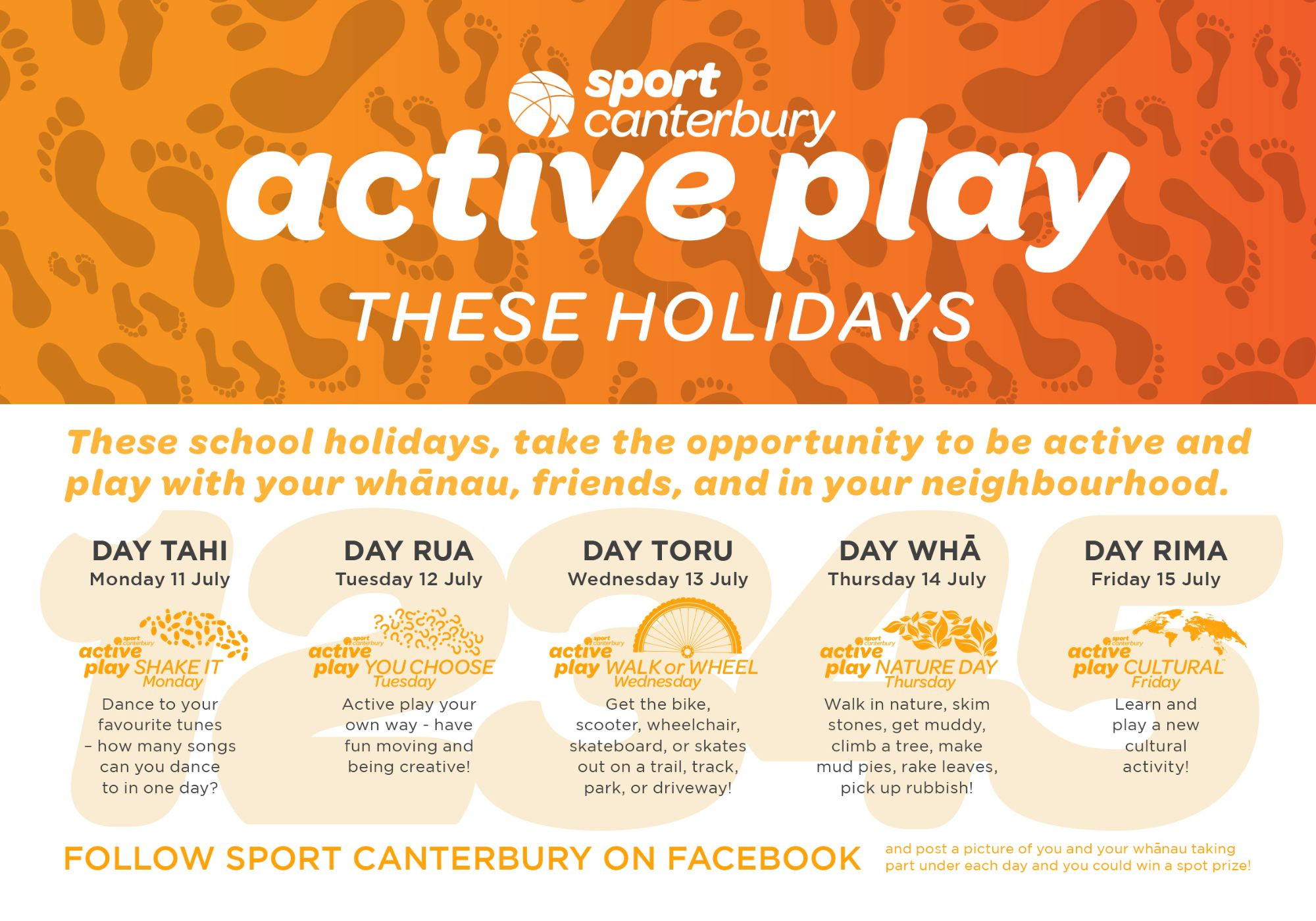 Active Play Holiday Flyer July