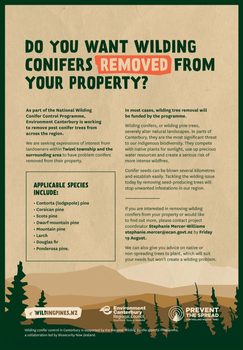 Conifers Remove