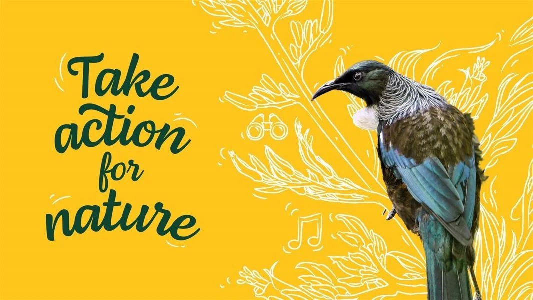 Take Action for Nature