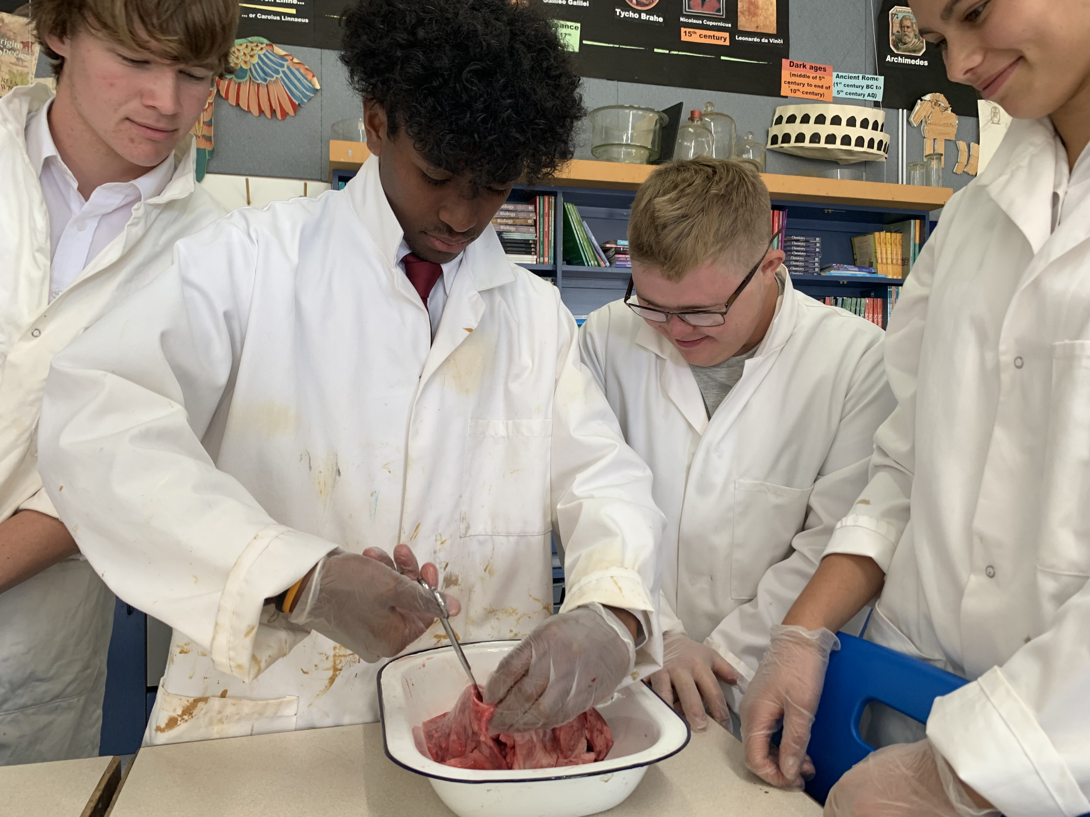 Level 2 Biology Lung Dissection