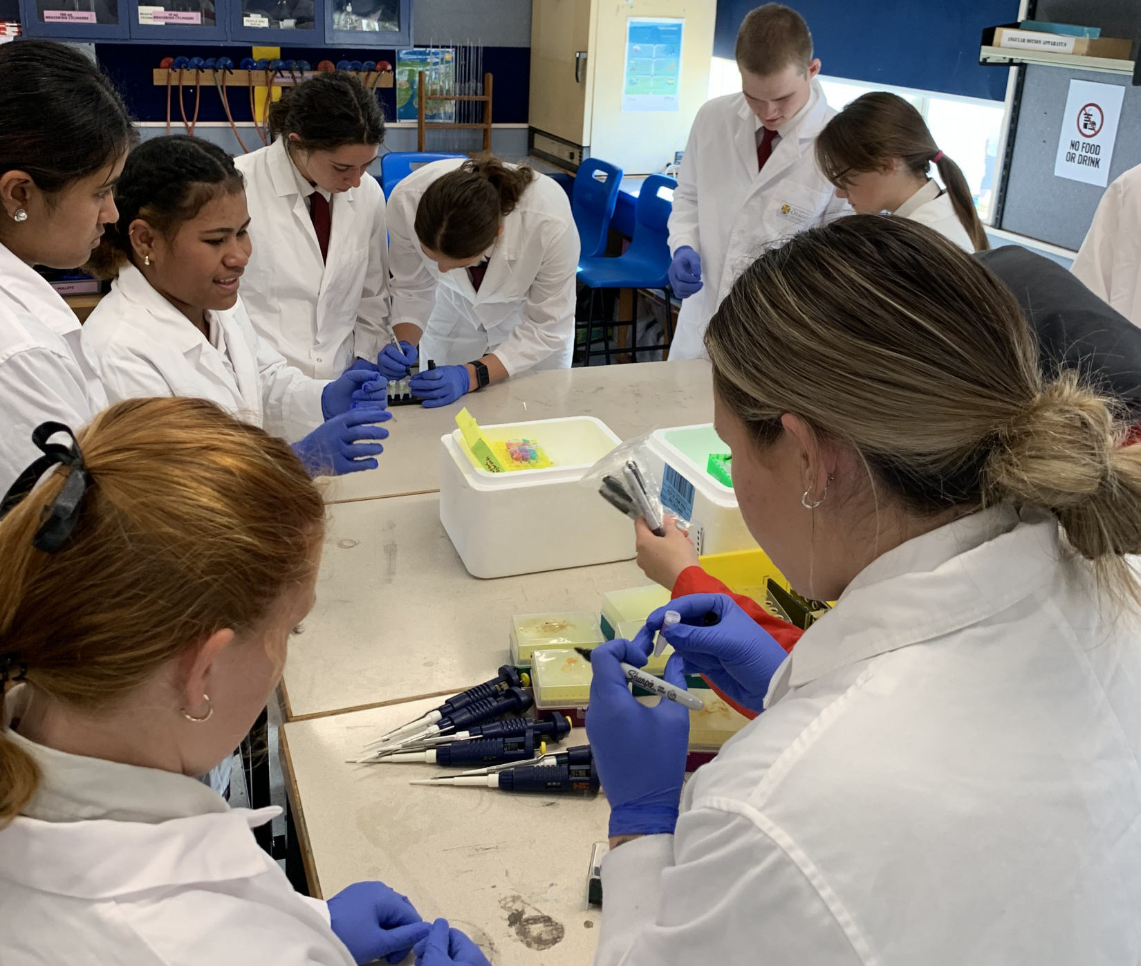 Hands-On Genetics Experience Enhances Senior Biology Learning