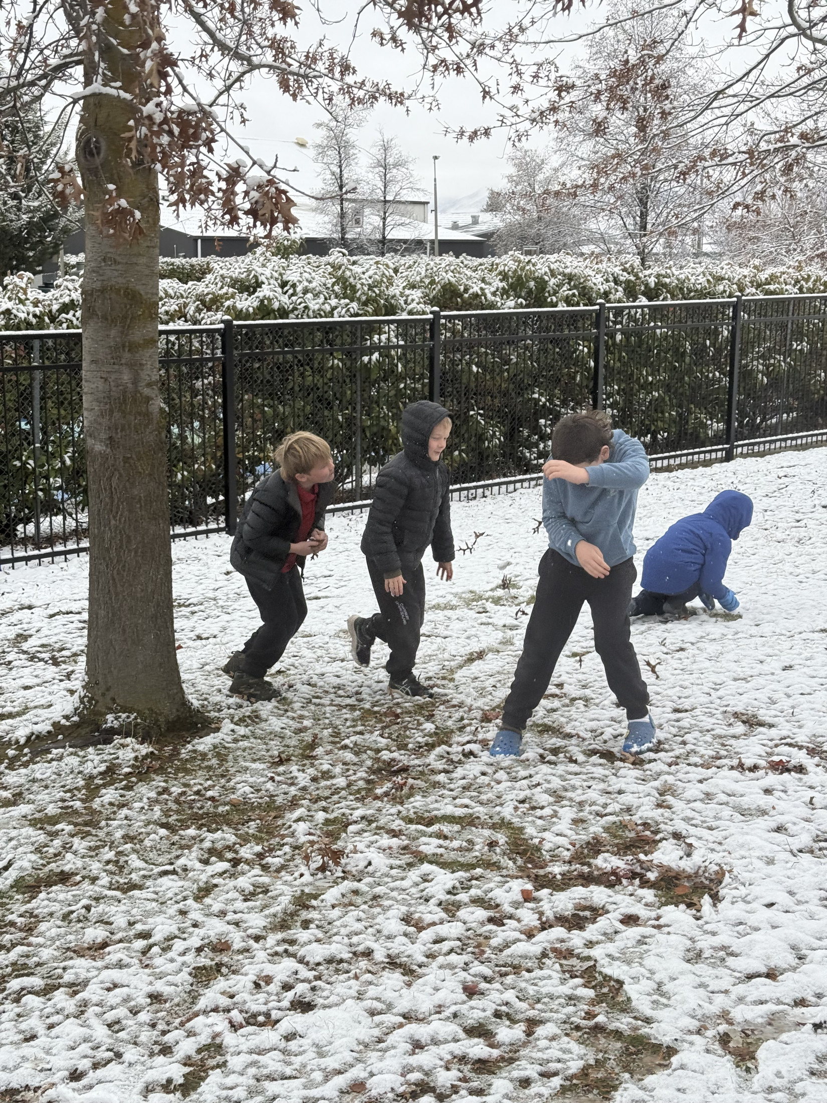 Snow3