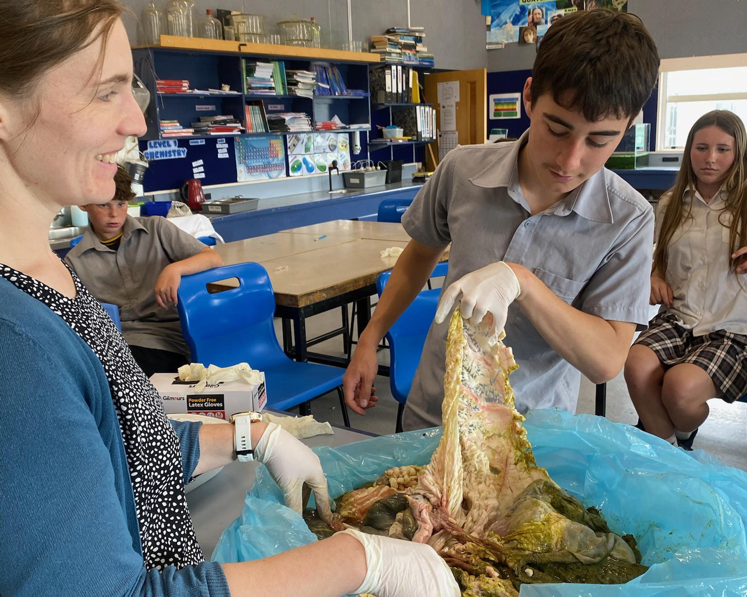 M4 Students Explore the Wonders of the Digestive System