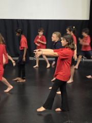 Royal New Zealand Ballet Workshops